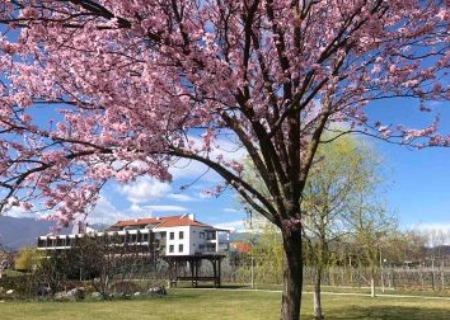 МАЙСКИ ПРАЗНИЦИ